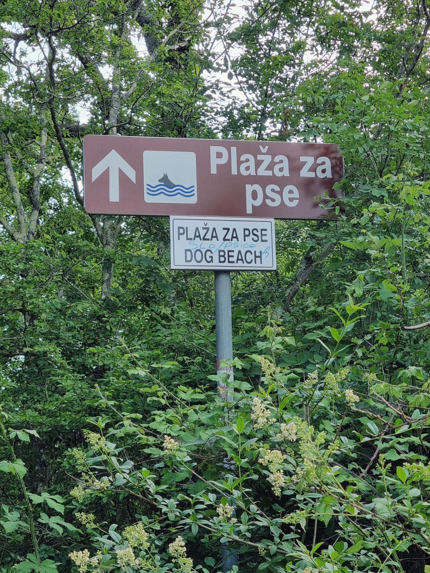 Apartment Sol Dolcevita Njivice Eksteriør bilde